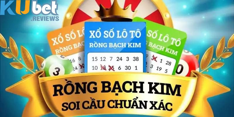 Soi cầu rồng bạch kim theo gan của chạm đề