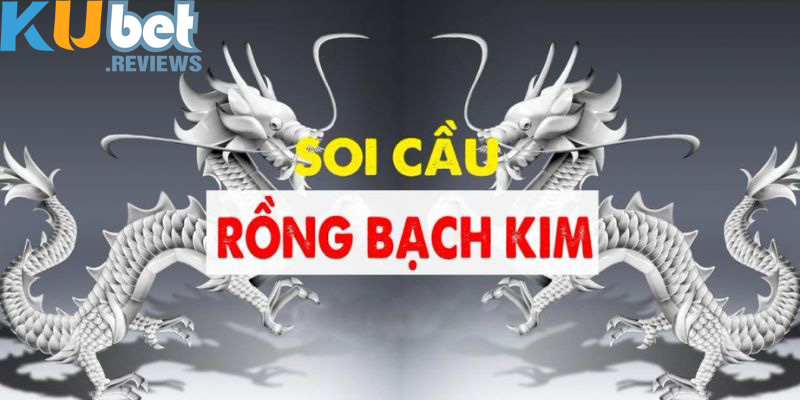 Tìm hiểu thương hiệu soi cầu xổ số rồng bạch kim được yêu thích nhất hiện nay