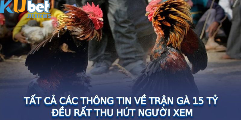 Những vấn đề liên quan tới trận đá gà 15 tỷ của mít trà cú